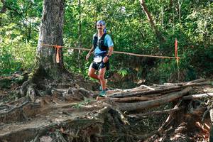 BIB: 
                            <button type="button" onclick="openModal(27553217)" class="btn btn-primary btn-sm float-right btn-popup" data-toggle="modal" data-target=".modal-high-quality">
                        <i class="fas fa-shopping-cart"></i> Add to Cart
                    </button>
                                            <button type="button" onclick="isThisMe(27553217, true)" class="btn btn-success btn-sm float-right btn-popup btn-isme hidden" data-toggle="tooltip" data-placement="bottom" title="นี่คือรูปของคุณใช่ไหม คลิกที่นี่เพื่อเอาเข้าอัลบั้ม">
                        <i class="fas fa-plus"></i> Add to album
                    </button>
                    <button type="button" onclick="isThisMe(27553217, false)" class="btn btn-warning btn-sm float-right btn-popup btn-isnotme hidden">
                        <i class="fas fa-ban"></i> Remove from album
                    </button>